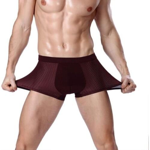 Male Panties Modal Mens Underwear Boxers Breathable Man Ice Silk Sexy U Convex Boxer Solid Underpants Comfortable Mesh Shorts