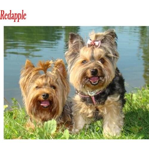 Full drill 5d diy diamond Painting Yorkshire Terrier dog picture Stitch Cross Rhinestone painting mosaic diamond embroidery cute