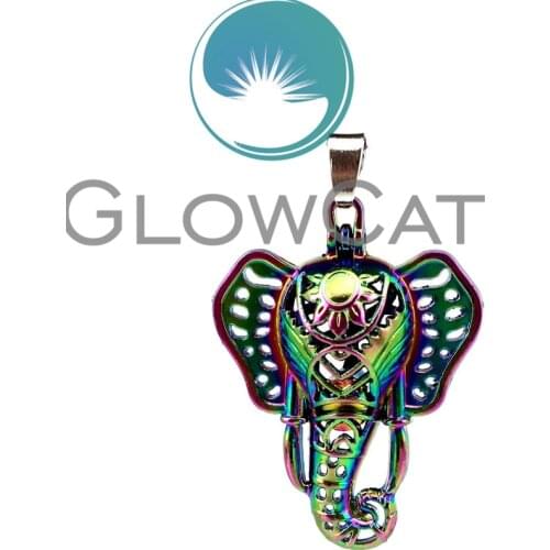 1PC Rainbow Color CC131 Indian Elephant Beads Cage Jewelry Making Essential Oil Diffuser Pearl Cage Lucky Locket Pendant