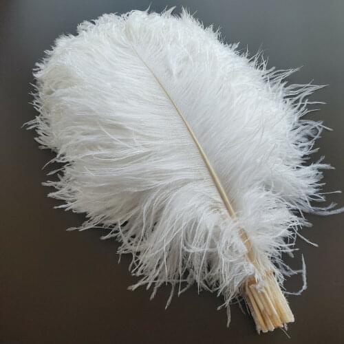 Best-Selling 10pcs Beautiful White ostrich feathers 10-12inches / 25-30cm For Wedding Christmas Home Craft Decoration