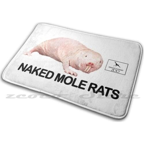 Kristen Stewart Zoo : Mole Rats Carpet Water Absorb Non-Slip Door Mat Mole Rat Mole Rat Mole Rat Mole Rats Mole Rats Mole Rat