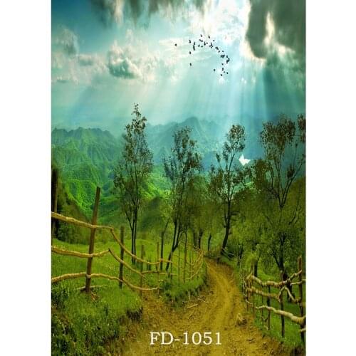 Sunlight Grass Walkway Vinyl Photography Background for Photo Shoot Props Children Baby Shower Cloth Printed Backdrop Photophone