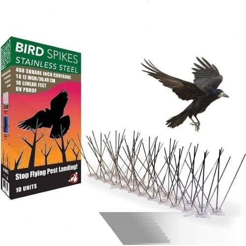 Stainless Steel Bird Spikes 10 Feet (3 Metre) Bird Deterrent Bird Scarer Repeller Pigeon Spikes Anti Bird Anti Pigeon Spikes