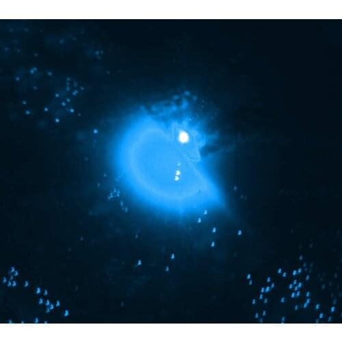 LED Mini Deep Sea Drop Underwater Tackle Fishing Squid Fish Lure Light Flashing Lamp