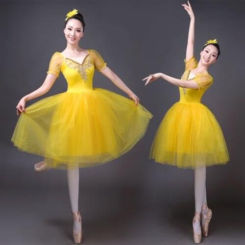 New professional dance gauze skirt ballet tutu Swan Lake performance costume adult puff sleeve ballet skirt TUTU