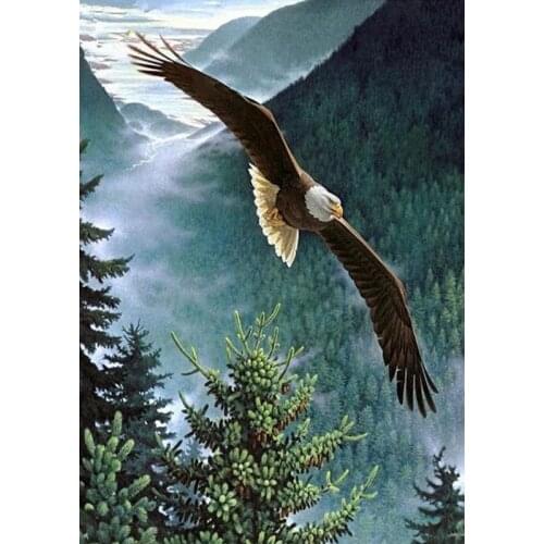 DIY Mountain eagle 5D home decor diamond embroidery crafts diamond painting cross stitch needlework diamond mosaic square FG1162