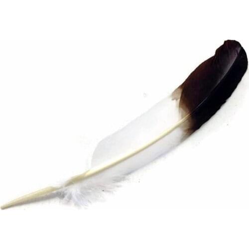 10Pcs Dyeing Crafts Turkey Feathers Party Wedding Decor Plume DIY Natural White Black Feather Jewelry Making Accessories 25-30cm