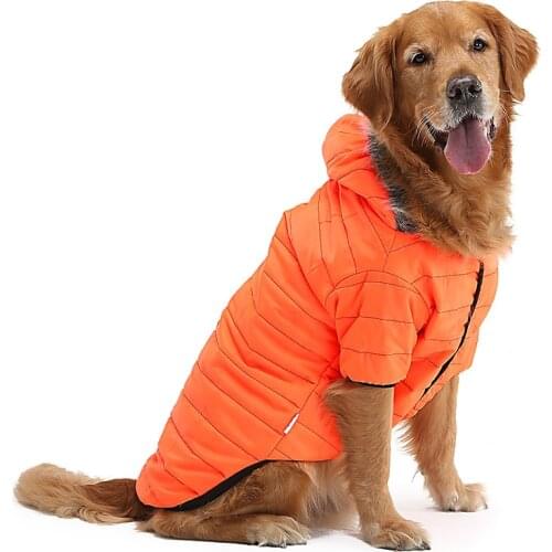 ALONE Jackets For Dogs