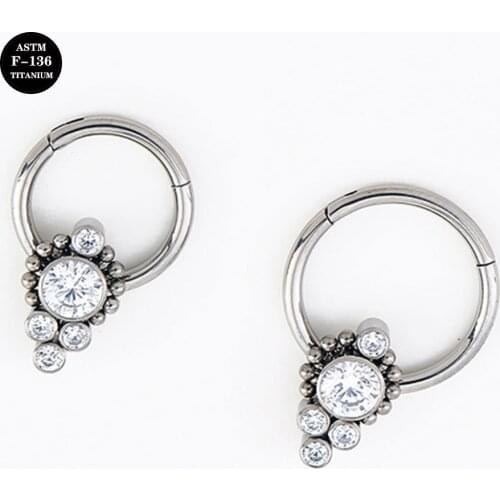 16G Implant Grade Titanium ASTM F136 New Septum Piercing Twist Hinged Clicker Nose Ring Hoop Daith Ear Jewelry