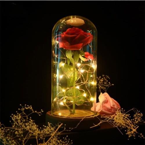Beautiful Battery Powered LED Rose Glass Bottle String Light Desk Lamp Romantic Valentines Day Birthday Gift