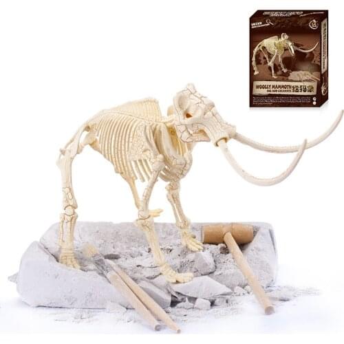 DIY Simulation Archaeological Excavation of Dinosaur Skeleton Fossil Model Educational Toys Gift for Kids 6 Optional