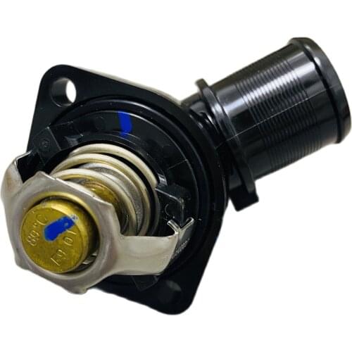 Thermostat for DFM ZNA Succe