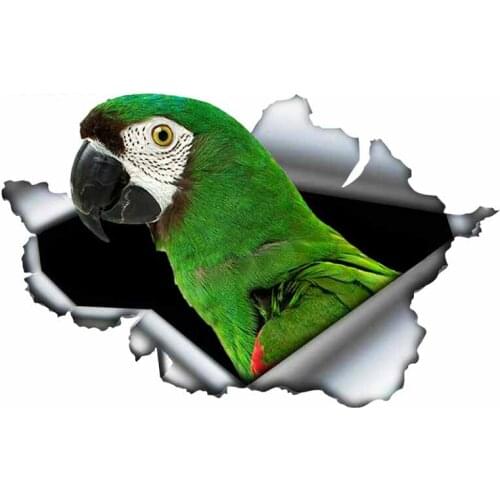 Personality Car Sticker for Parrot Car Truck Decal Anime Graphics Waterproof Cover Scratch Custom Printing Decor 13cm*8cm