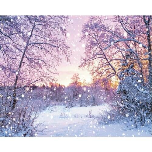Winter Forest Sunrise Snow Scene Birthday Party Backdrop Baby Shower Room Decor Photo Booth Studio Prop