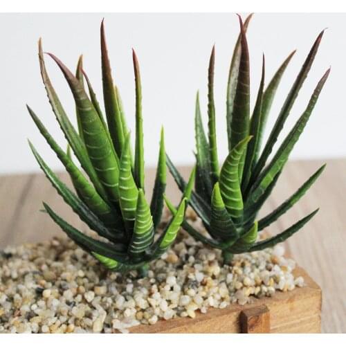 7X10cm Artificial succulents Plants Aloe Zebrina Plants Artificial Plant Landscape Fake Flower Arrangement Garden Decoration