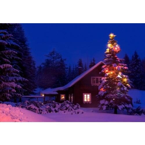 VinylBDS Night Winter Photo Shoot Backdrop Snow House Photography Backdrops Washable Seamless Backgrounds For Photo Studio