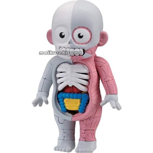 Megahouse Restoration Jigsaw Puzzle Human Model Anatomical Three-dimensional Toy after Class
