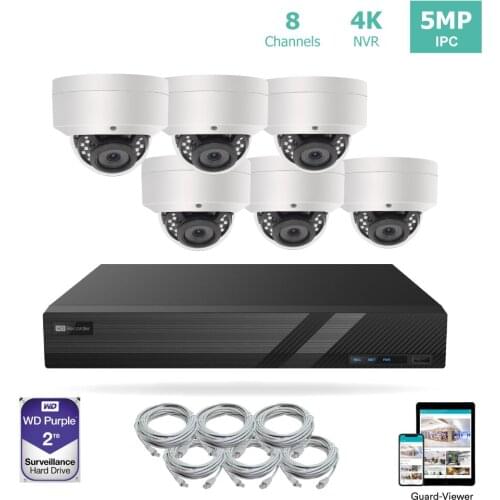 LINOVISION 8 Channel 4K IP PoE Security Camera System 8ch 4K NVR with 2TB HDD and 6 Outdoor 5MP PoE IP Dome Cameras