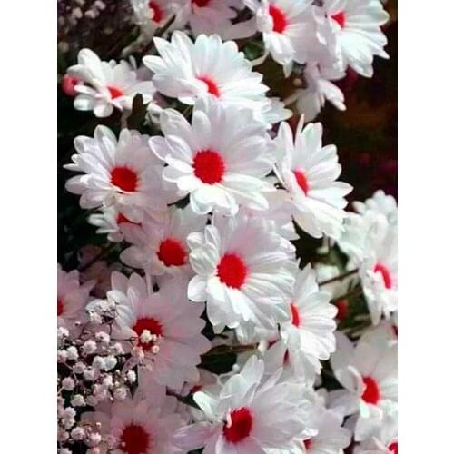 KAMY YI Flowers Chrysanthemum Diamond Painting Cross Stitch Full Diamond 5D Diy Art Craft Mosaic Picture Home Decoration