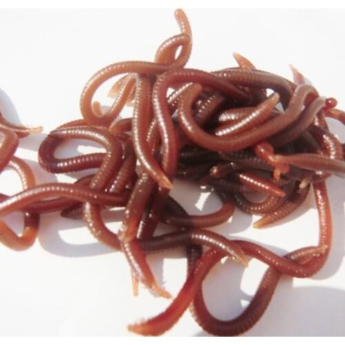 New soft lure fishing worms 45PCS/LOT sea Red Worms EarthWorm soft bait worms Lure fishing lure sea worms for fishing