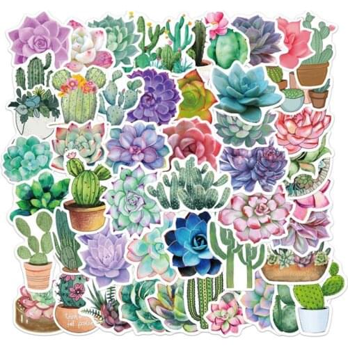 50Pcs Cartoon Stickers Succulent Cactus Plant Stickers Luggage Guitar Computer Notebook Waterproof Graffiti Sticker Decoration