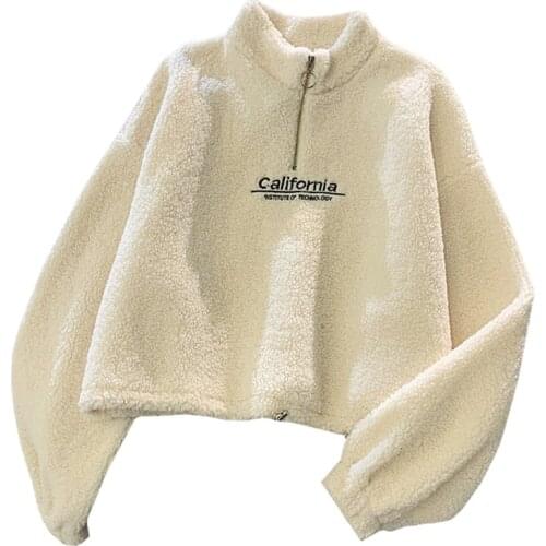 Cashmere Short High Collar Hoodies Women Thicken Loose Korean Autumn Zipper Coat Embroider California Letters Sweatshirt Femme