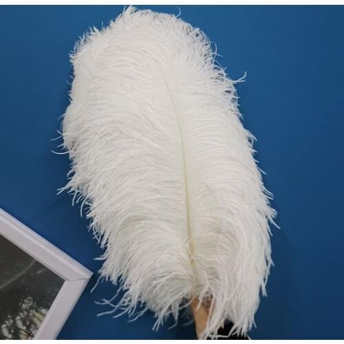 New 10-100pcs/lot High Quality White Ostrich Feather 55-60CM 22-24Inch Craft Diy Celebration Accessories Dancers Home Plumes
