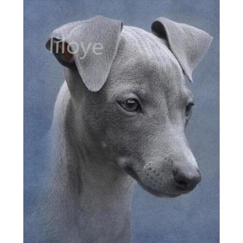 Diamond Embroidery greyhound dogs Diamond Mosaic DIY full square Rhinestones Picture Diamond Painting Cross Stitch Animal GH558