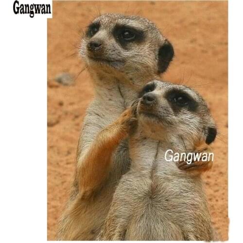 5d diy diamond painting Meerkat cross stitch full square round mosaic picture of rhinestones diamond embroidery hobby art decor