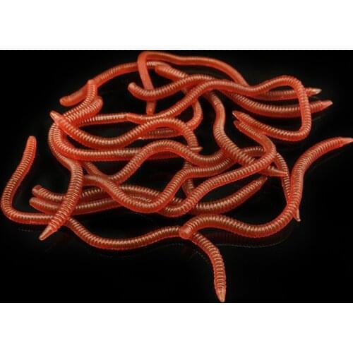 20Pcs 8cm10cm Soft Bait Earthworm PET Fishy Smell Lures Artificial Fishing Worms Simulation Lifelike Elastic Fishing Tackle