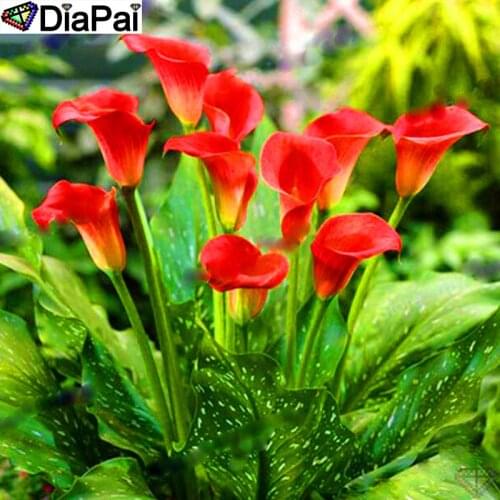 DiaPai 100% Full Square/Round Drill 5D DIY Diamond Painting "Calla lily flower" Diamond Embroidery Cross Stitch 3D Decor A19178