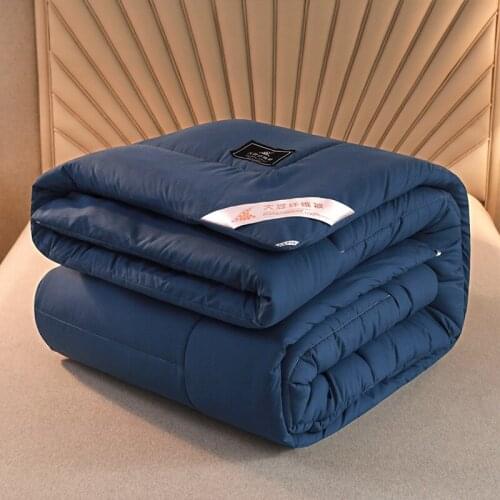 2021 New Cotton Comforter Keep Warm The Quilt Core White Velvet Thickening Warm Winter Quilt Best Gift