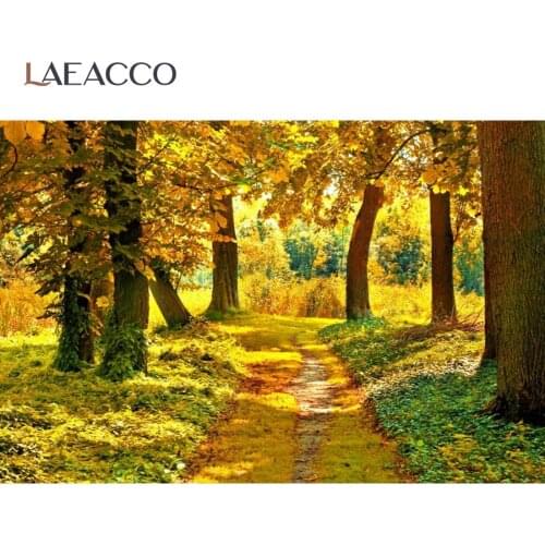 Laeacco Rural Village Autumn Tree Yellow Grass Pathway Road Scenic View Photographic Background Photo Backdrop For Photo Studio