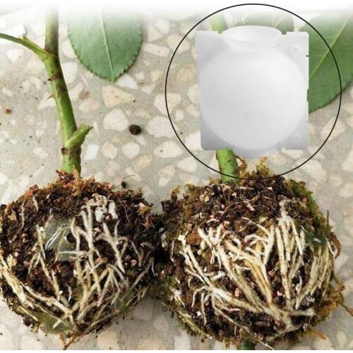 1/2/5pcs Plant Rooting Ball Grafting Rooting Growing Box Breeding Case for Garden SCIE999