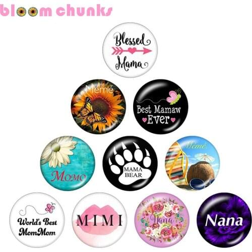 Mom mimi nana 10pcs mixed 12mm/18mm/20mm/25mm Round photo glass cabochon demo flat back Making findings S5960