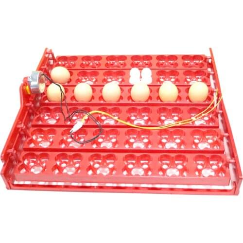 36 Eggs /144 Birds Eggs Incubator Tray Chickens 1/240 rpm Or 2.5 r/min Ducks And Pigeons And Other Birds Parrot Quail Gooes