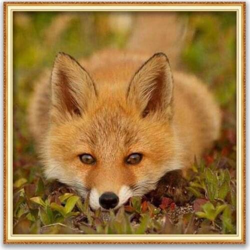 Animal Fox DIY Embroidery Cross Stitch 11CT Kits Craft Needlework Set Cotton Thread Printed Canvas Home Decoration On Wholesale