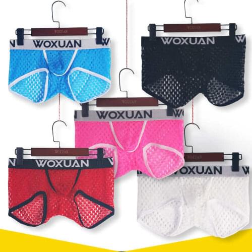 Underwear Boxers for Men Sexy See Through Boxershorts 5pcs/lot Mens U Bulge Pouch Jockstrap Underwear Homme Cueca Gay Underpants