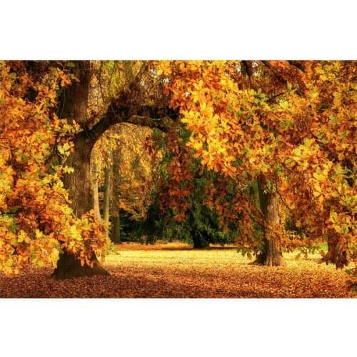 Autumn Yellow Leaves Tree Landscape Photography Backgrounds Vinyl Portrait Photographic Backdrops For Home Decor Photo Studio