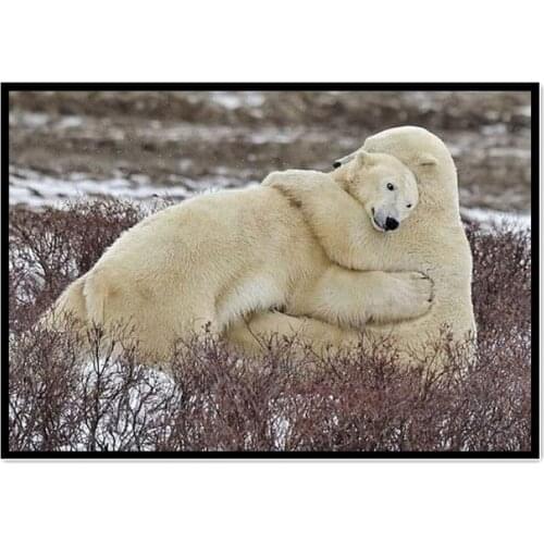 5d full drill diamond painting Polar bear couple diamond painting Male baby peeing photo Home Decoration DIY Diamond embroidery