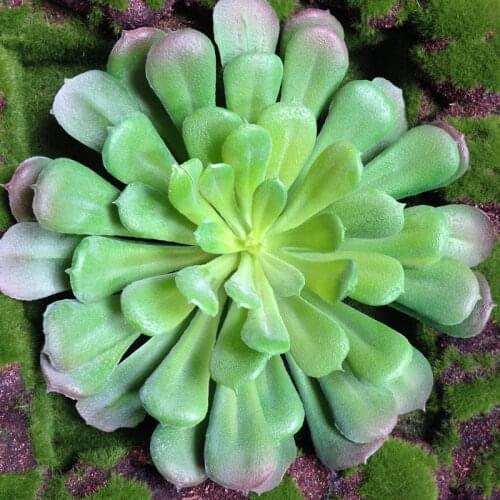 NuoNuoWell 3x Aeonium 'BLACK ROSE' Gorgeous 7.5'' Head Artificial Succulent Plant Green/Burgundy