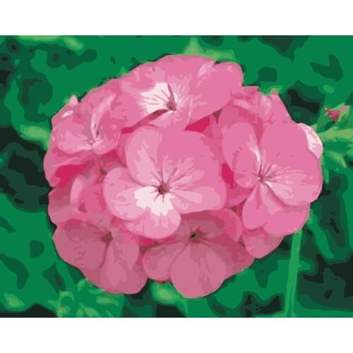 MaHuaf-i944 painting by numbers flowers pink Geranium Hand Painted Framed Acrylic Picture coloring by numbers on canvas 40x50cm