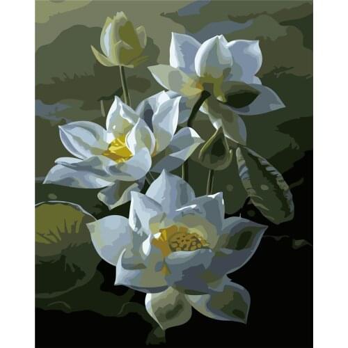 Senescence Great Diy Pictures By Number Animal Painting By Numbers Bird Drawing On Canvas Hand Painted Paintings Parrot Kits