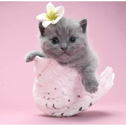 5D Diy Full Drill Embroidery Square Stone Pearl Diamond Painting Animal Dog Mosaic Christmas Gift Wedding decoration BK