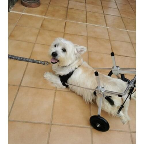 S/M/L Adjustable Dog Wheelchair for Small Dog Pets Behind legs Rehabilitation