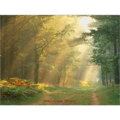 Needlework for embroidery DIY French DMC High Quality - Counted Cross Stitch Kits 14 ct Oil painting - Sun Rays in the Forest