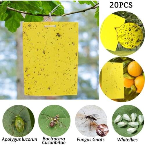 20 Pcs Sticky Trap Yellow Square Paper Double-Sided Board Insect Sticker Vegetables Fruit Plant Mosquito Flies Trap 15*20cm