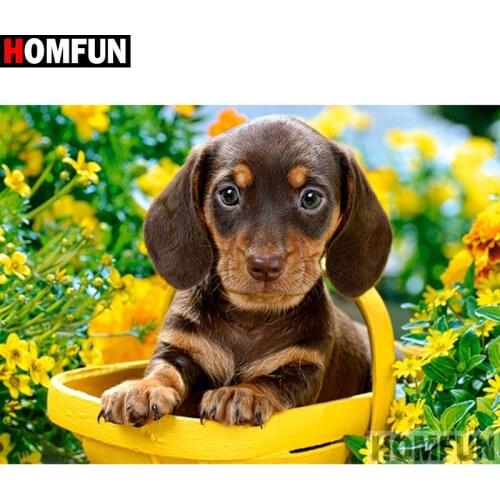 HOMFUN Full Square/Round Drill 5D DIY Diamond Painting "dog" Embroidery Cross Stitch 5D Home Decor Gift A09051