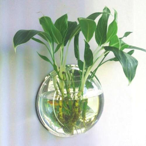 Pot Plant Wall Mounted Hanging Aquarium Transparent Acrylic Fish Bowl Fish Tank Flower Plant Vase Home Decoration