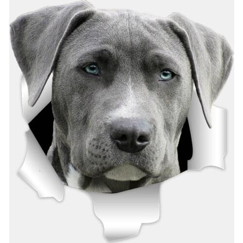 Three Ratels 3D Grey Weimaraner Dog Stickers Super Staffie decal on Wall Fridge Toilet car bike